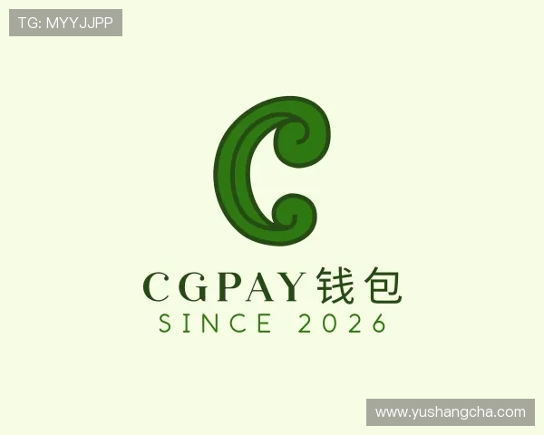 发现CGPay